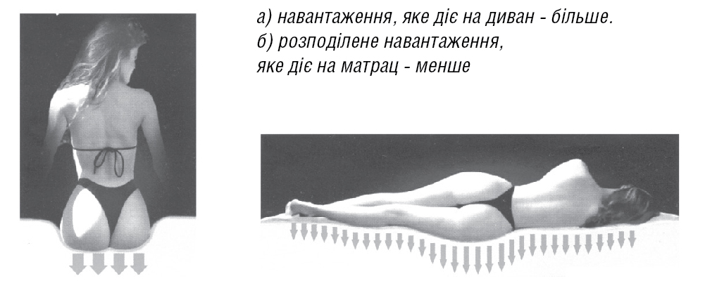 анатомія комфорту